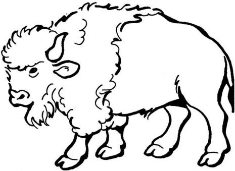 Buffalo Images Download Png Clipart