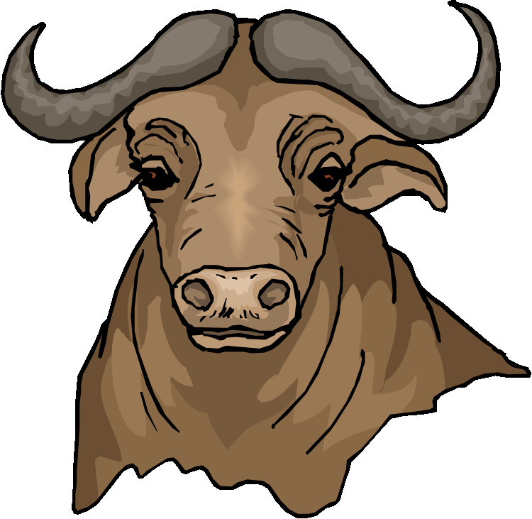 Free Buffalo Download Png Clipart