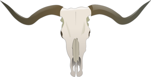 Longhorn Skull Clipart
