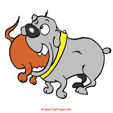Bulldog Funny Pictures Of Animals Clipart Clipart