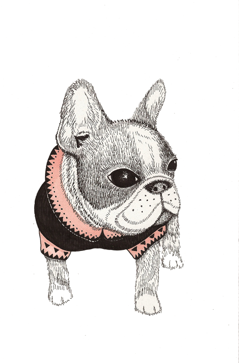 Decorative Animals Bulldog Boston Pug Painting Illustration Clipart