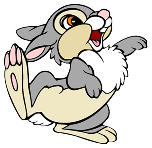 Bunny Cartoon Cartoons Png Images Clipart