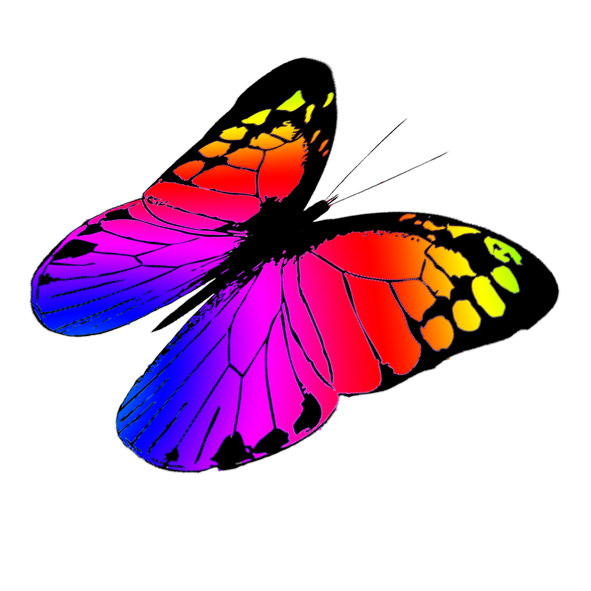 Butterfly Download Png Clipart