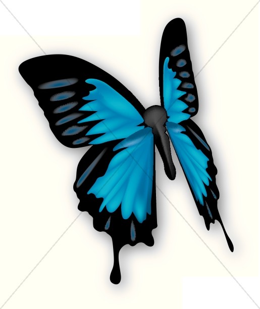 Butterfly Graphics Images Sharefaith Free Download Png Clipart