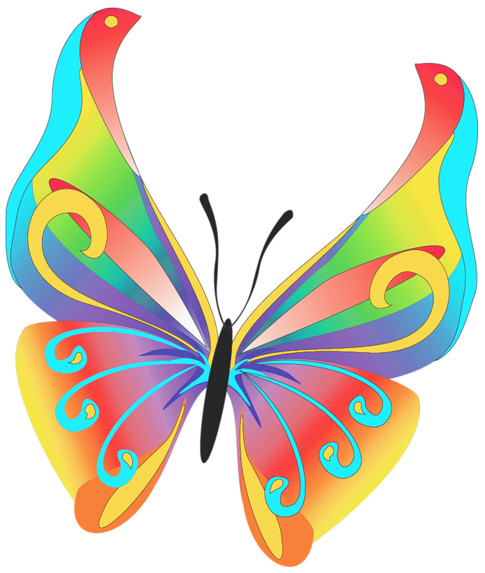 Butterflies Cartoon Butterfly Download Png Clipart