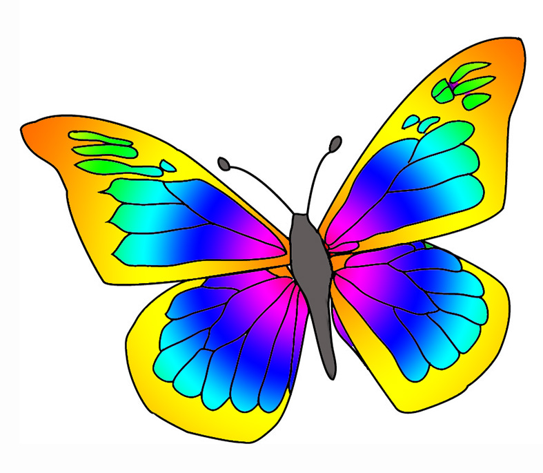 Images Butterflies Png Image Clipart