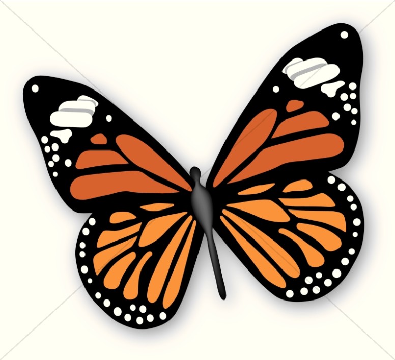 Butterfly Graphics Images Sharefaith Png Images Clipart
