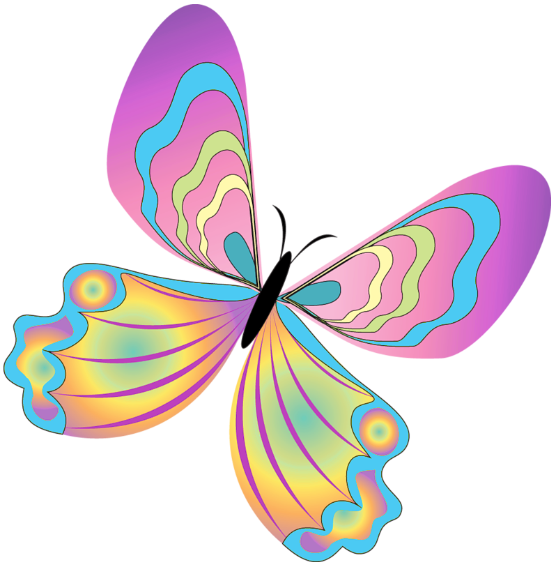 Butterflies Butterfly Images Image Png Clipart