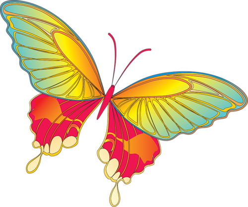 Butterfly Butterflies Png Image Clipart
