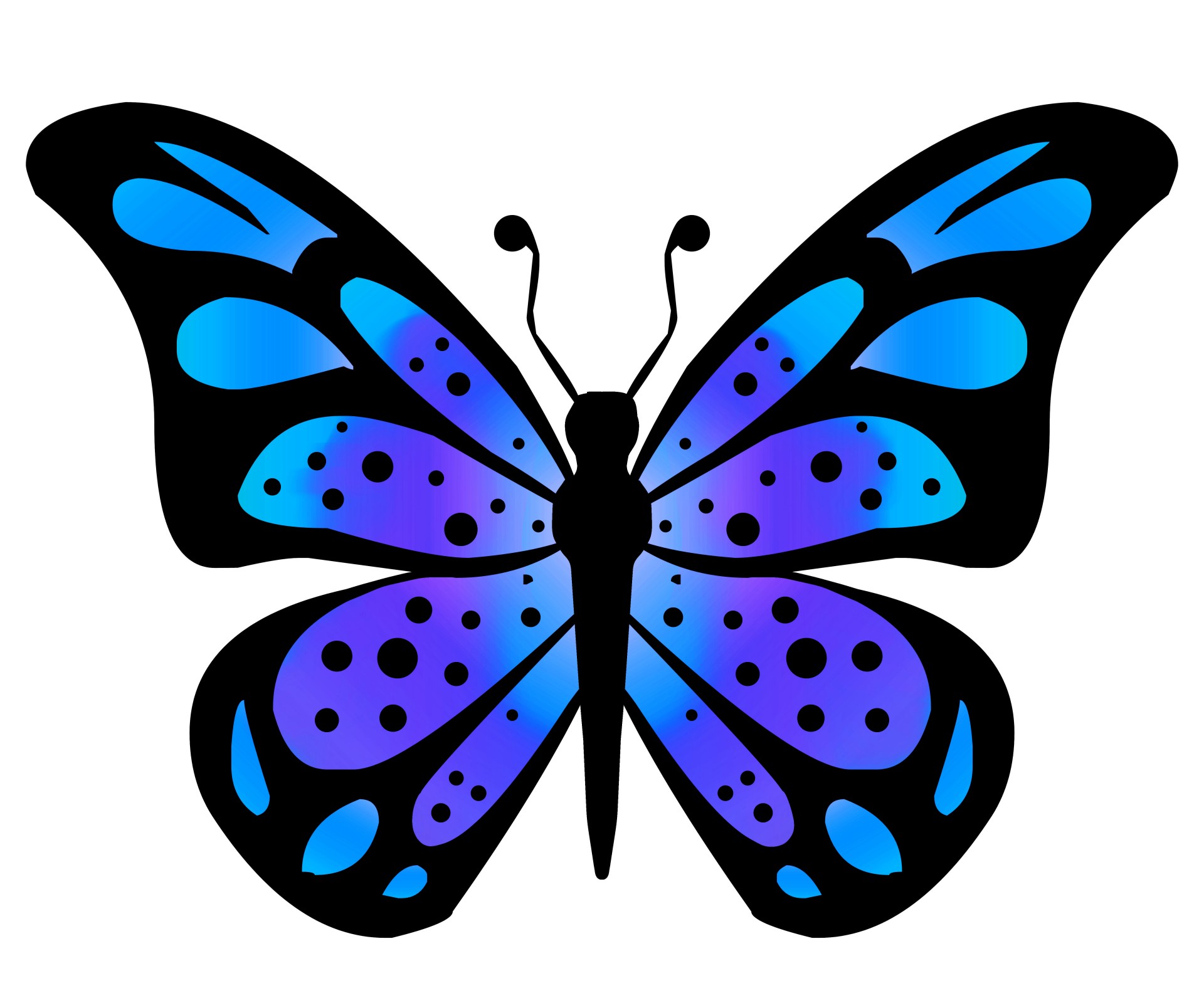 Butterflies Hd Photo Clipart