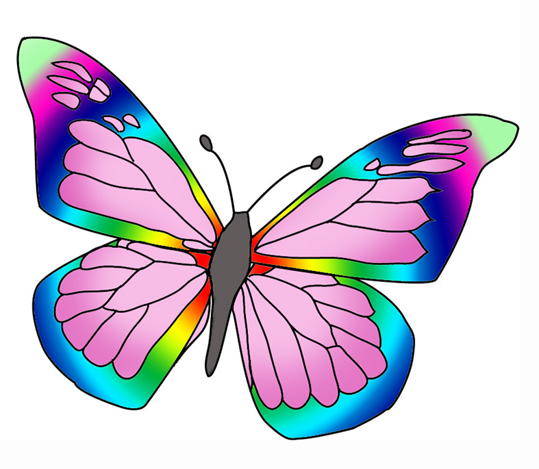 Colorful Butterflies Clipart Clipart