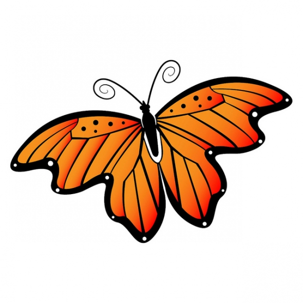 Free Butterfly Graphics Images Hd Image Clipart