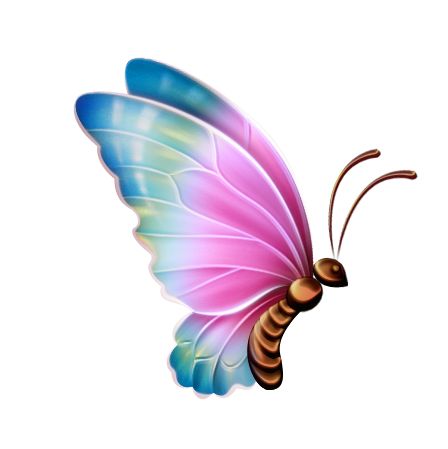 Images About Borboletas On Butterflies Insects Clipart