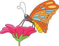 Butterflies Butterfly Pictures Graphics Illustrations Transparent Image Clipart