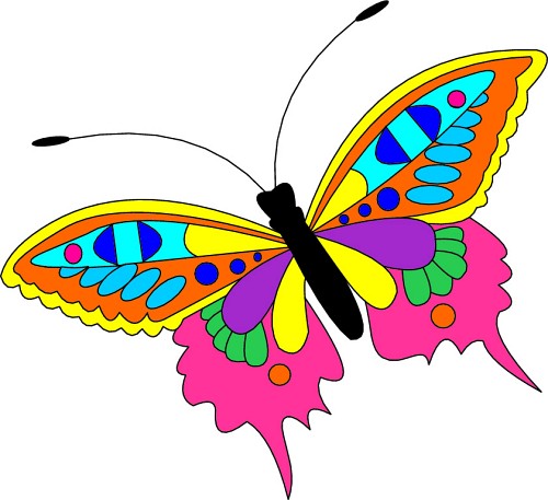 Images Butterflies Image Png Clipart