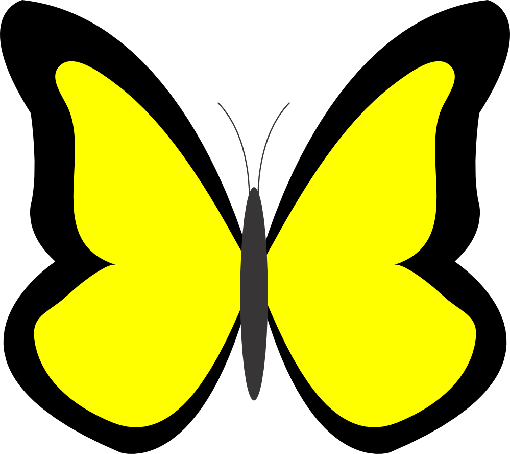 Butterflies Cartoon Butterfly Hd Image Clipart