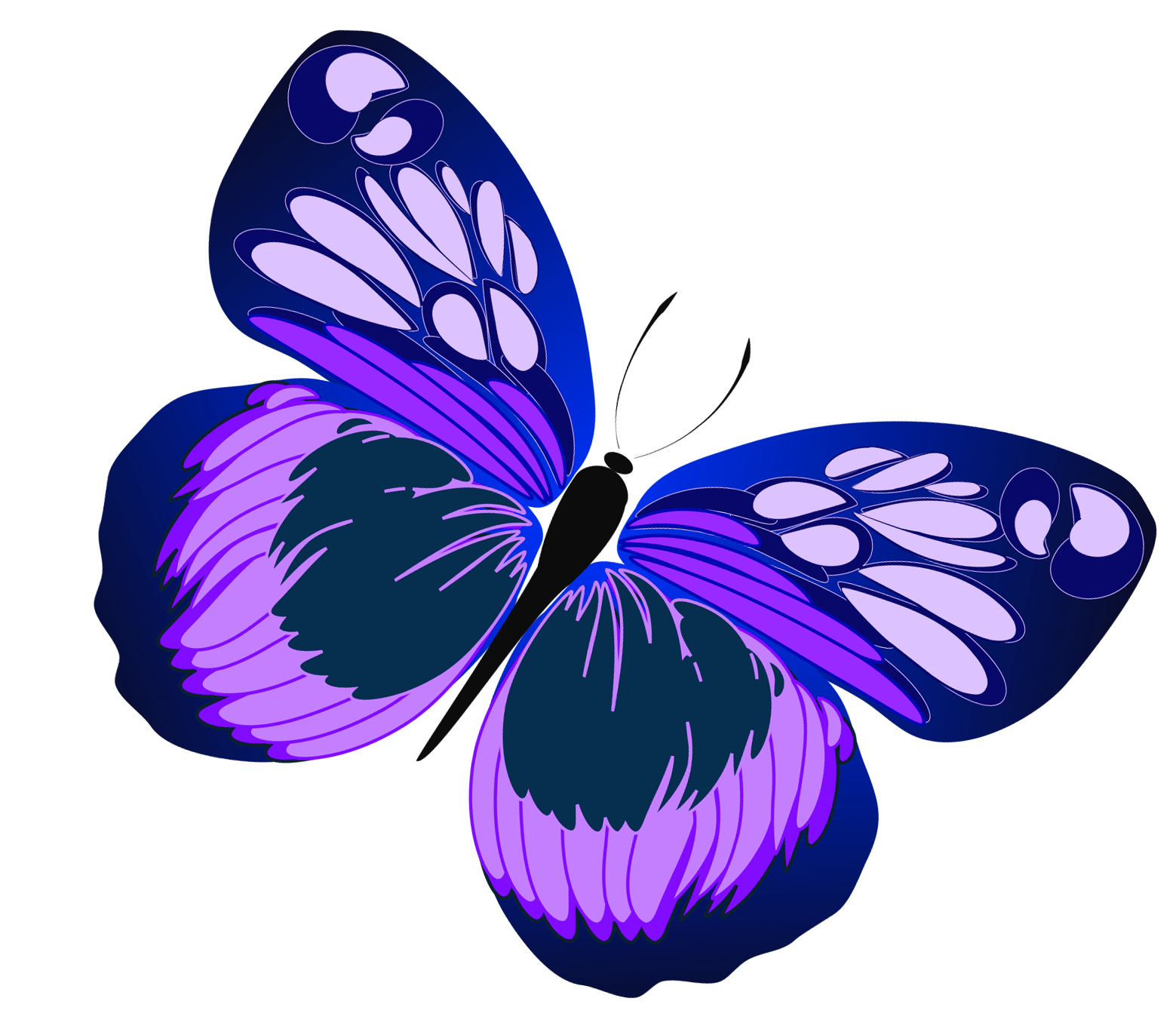 Butterflies Free Download Clipart