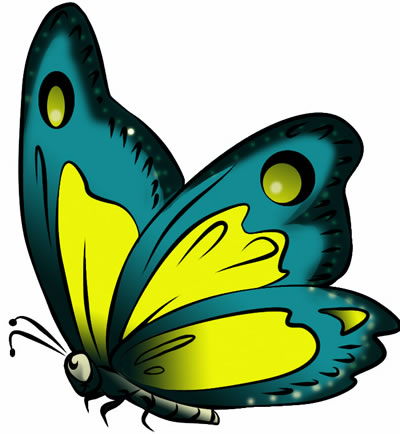Butterflies Butterfly Drawings And Colorful Images Clipart