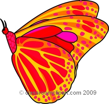 Free Butterfly Pictures Graphics Illustrations Png Image Clipart