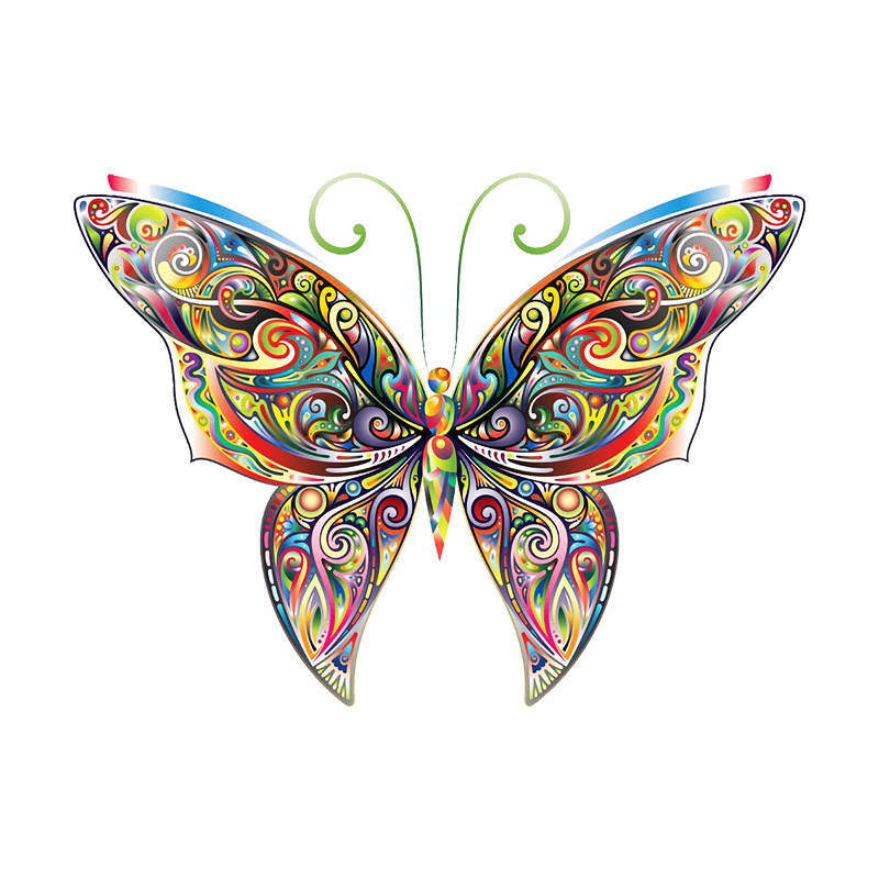 Butterfly Coloring Colorful Illustration Decal Book Clipart