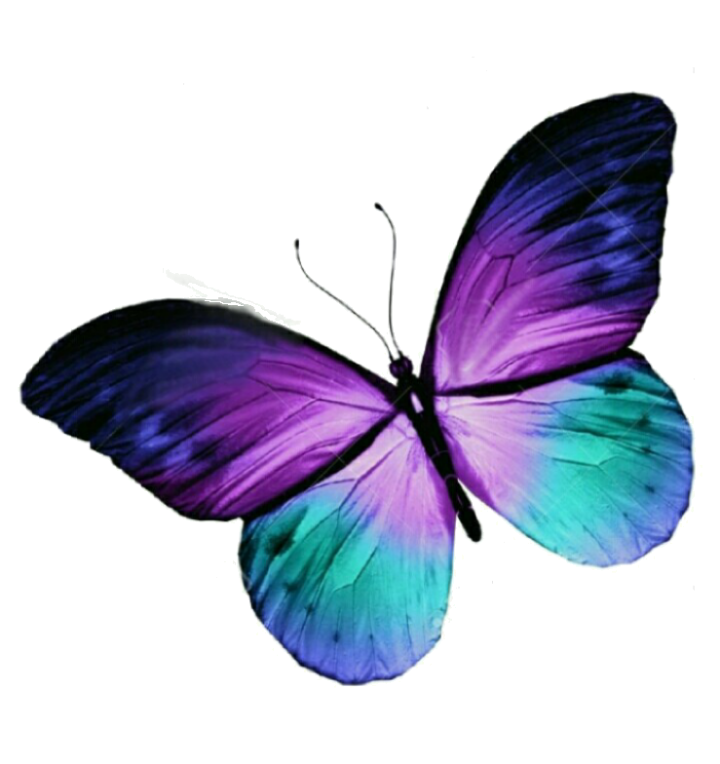 Butterfly Tattoo Purple Blue Free HQ Image Clipart