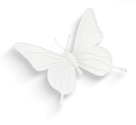 Butterfly White Black Three-Dimensional Free HD Image Clipart