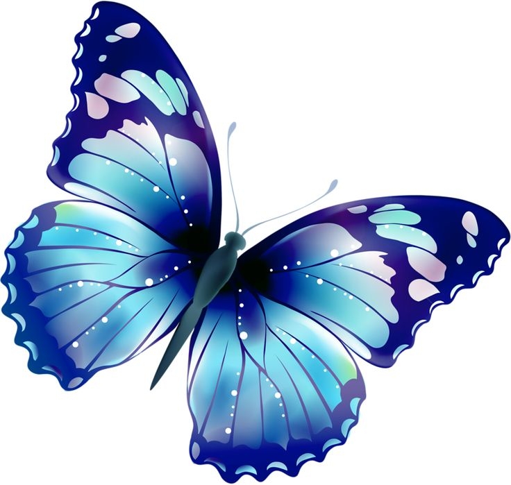 Butterflies Butterfly Vergilis Clipart Clipart