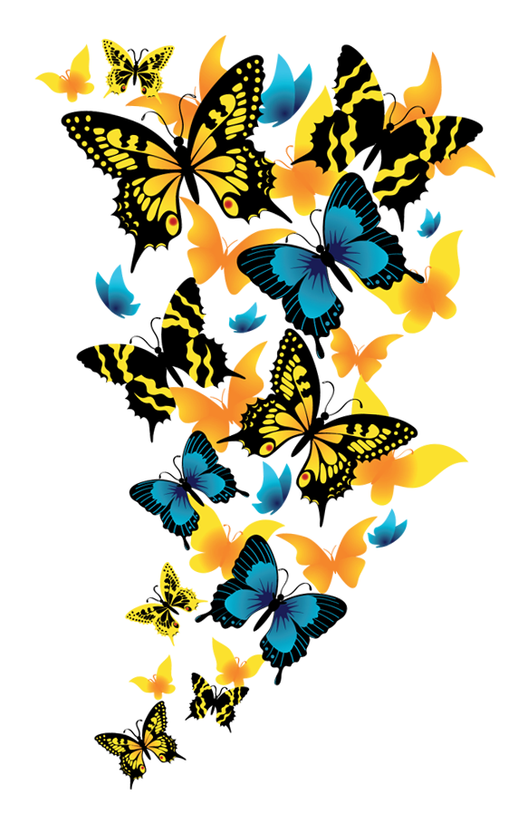 Butterflies Picture Download Png Clipart