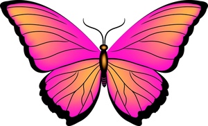 Butterflies Pink Butterfly Images Png Image Clipart