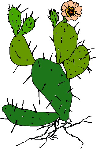 Cactus Of Cactus Wearing Hats And Guns Clipart