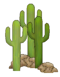 Desert Cactus Kid Png Images Clipart