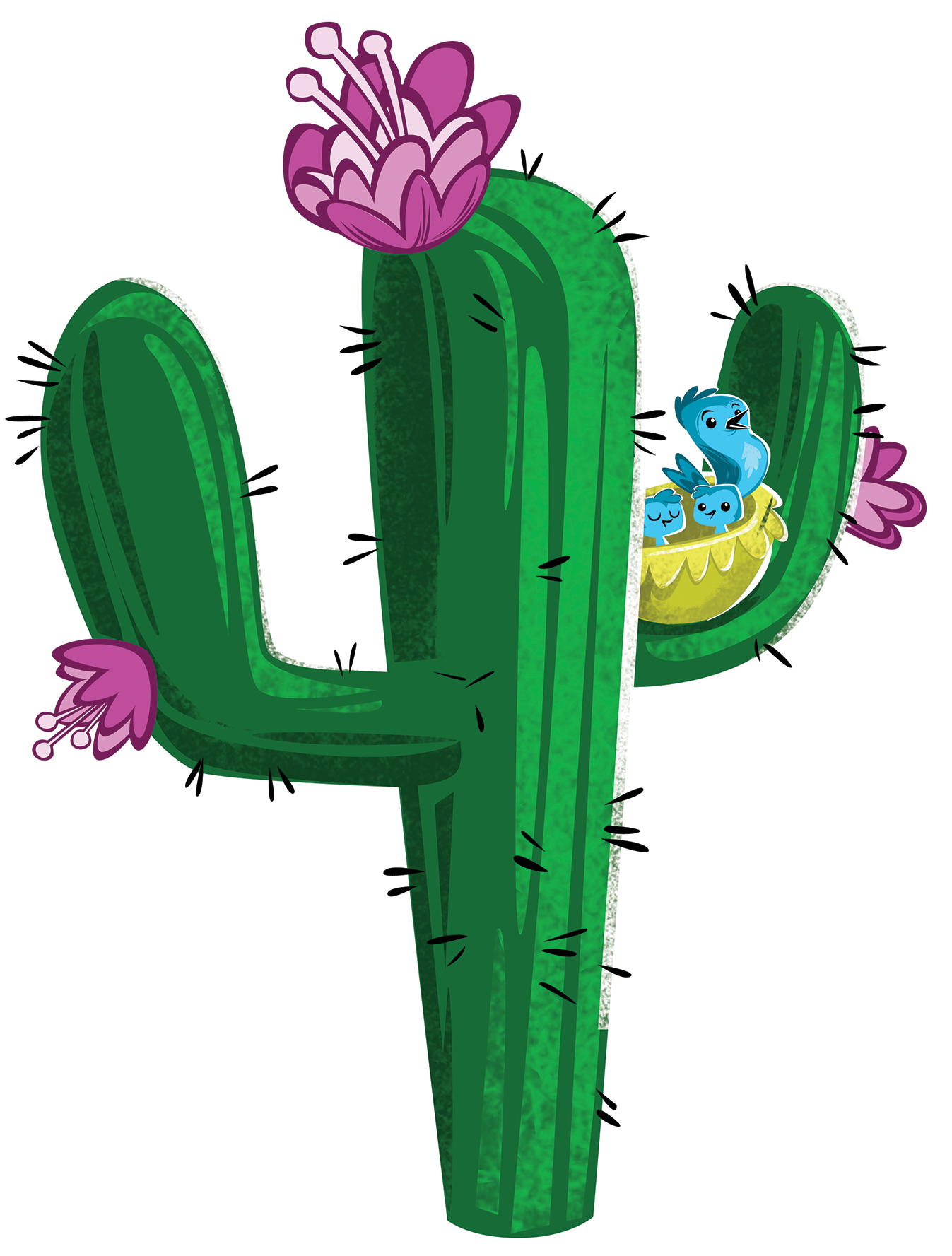 Cactus Images Hd Photo Clipart