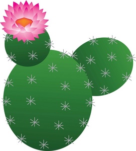 Cactus Image Desert Flower On A Cactus Clipart
