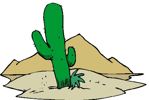 Free Cactus Public Domain Plant Images And Clipart