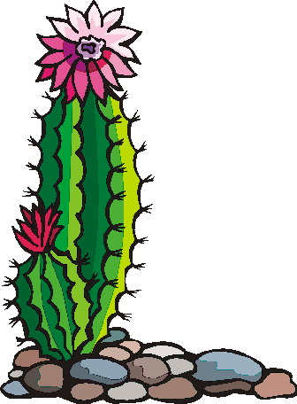 Gallery For Black And White Cactus 3 Clipart