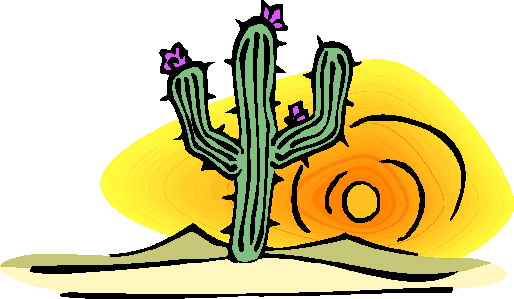 Cactus Hd Image Clipart