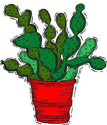 Cactus Images Image Transparent Image Clipart