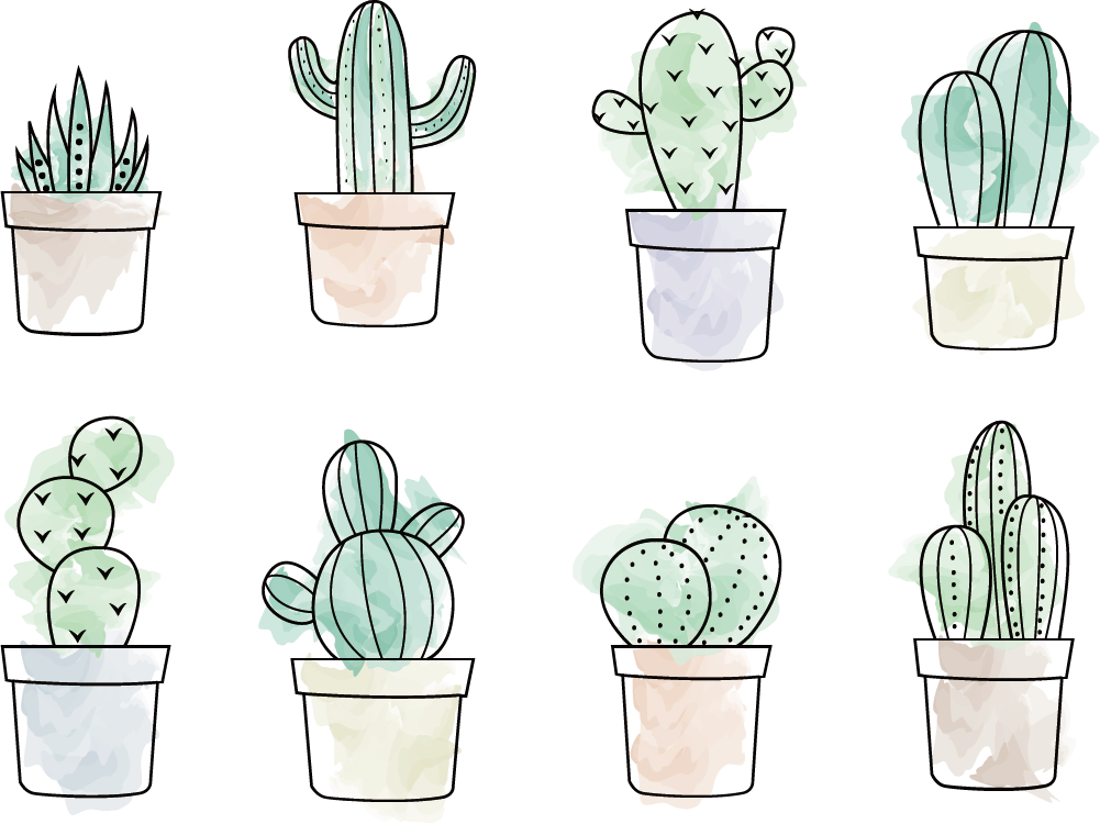 Vector Cactus Painting Cactaceae Drawing Free HD Image Clipart