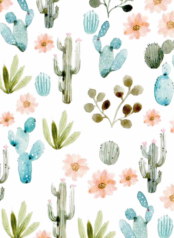 Succulent Plant Wallpaper Cactus Cactaceae HD Image Free PNG Clipart