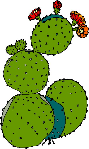 Cactus Images Image Png Image Clipart