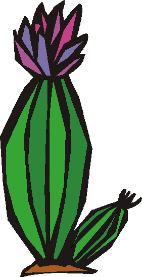 Cactus Png Image Clipart