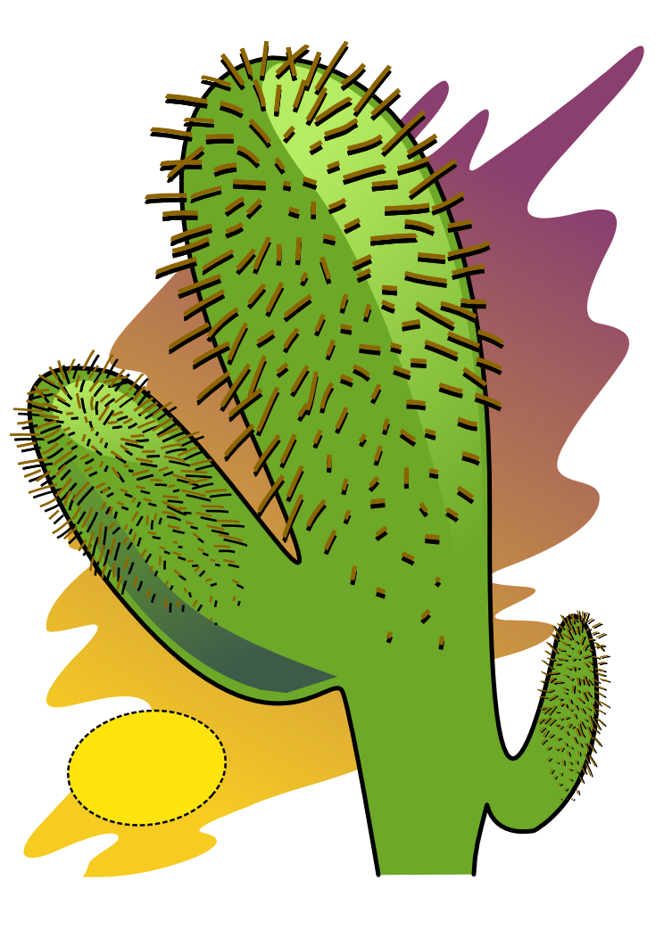 Free Cactus Public Domain Plant Images And Clipart