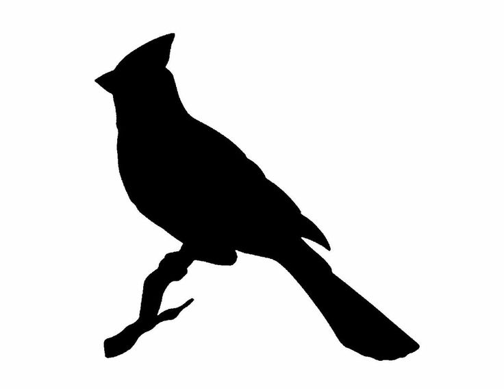 Cardinals Silhouette And On Hd Image Clipart