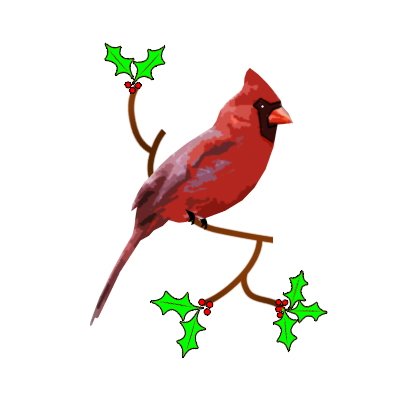 Christmas Cardinal Kid Hd Image Clipart