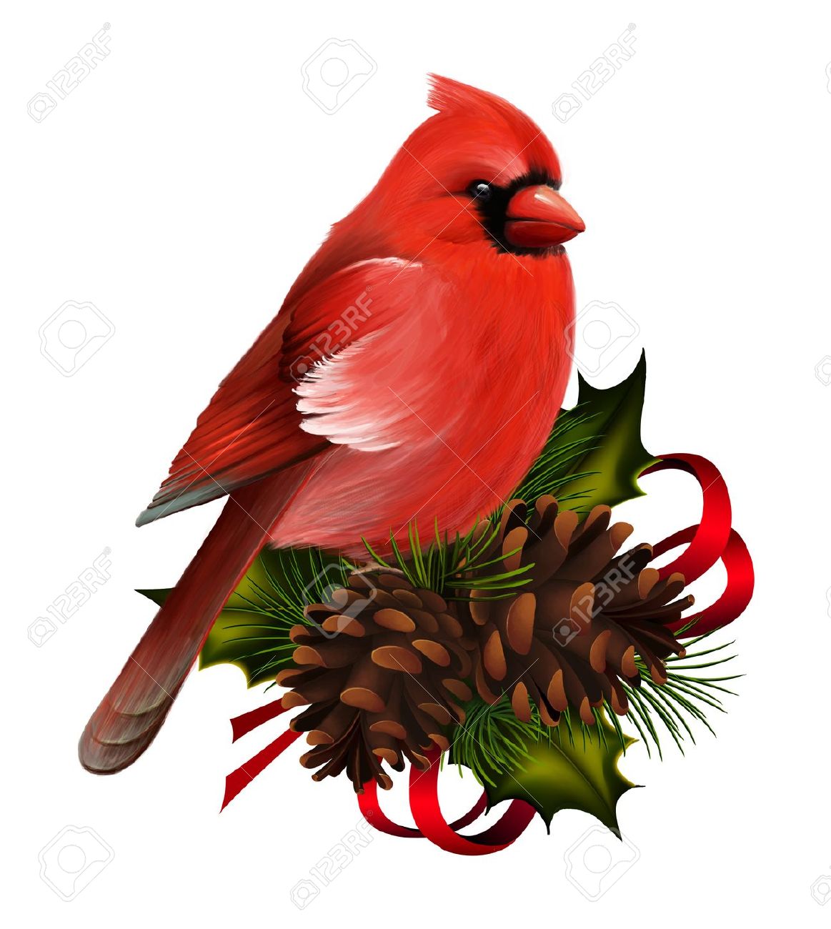 Vintage Cardinal Christmas Download Png Clipart