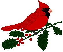 Winter Cardinal Png Images Clipart