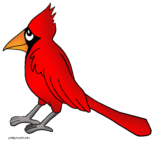 Cardinal Feathers Kid Png Image Clipart