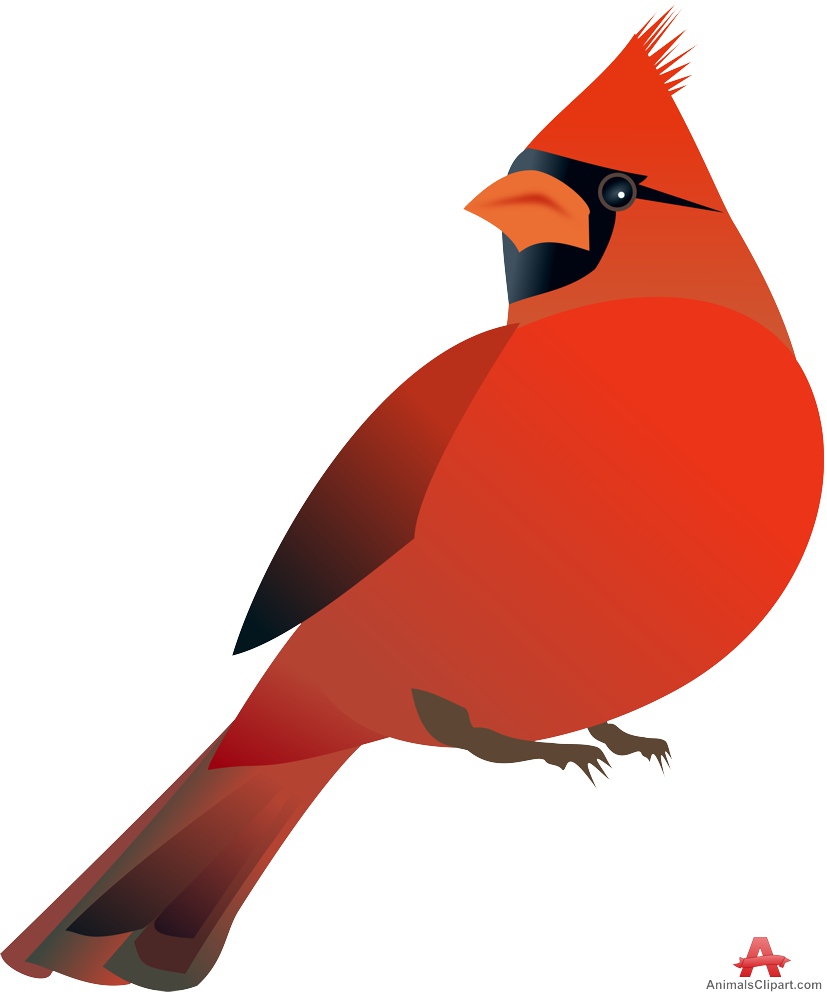 Northern Red Cardinal Bird Design Download Clipart
