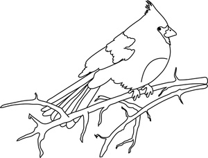 Cardinal Image Bird Coloring Page Of A Clipart
