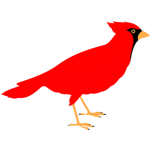 Cardinal Images Image Png Clipart